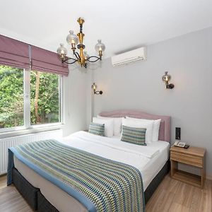 Suite superior